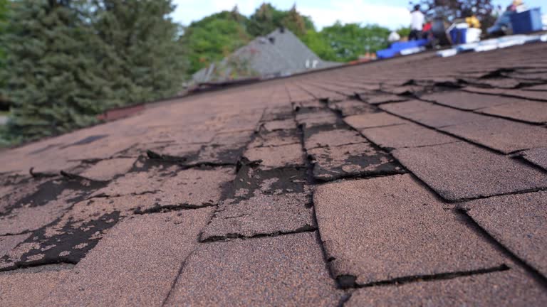 Best Gutter Installation and Repair  in Logan Elm Village, OH